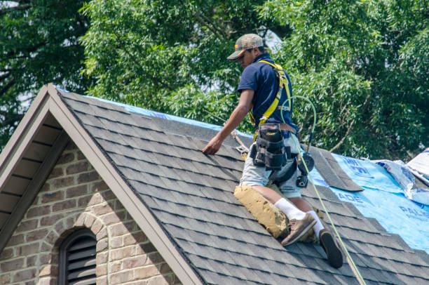 Best Gutter Installation and Roofing  in Booneville, MS